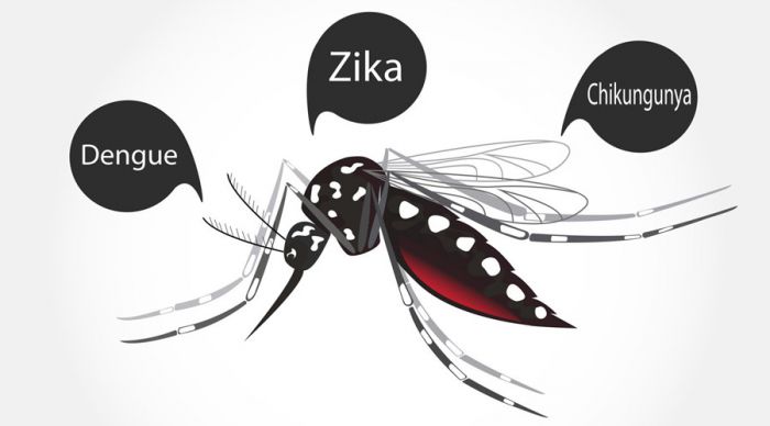 Información sobre dengue, zika y chicunguya