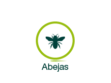 Abejas/Avispas