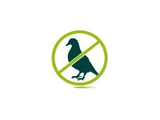 Control de palomas
